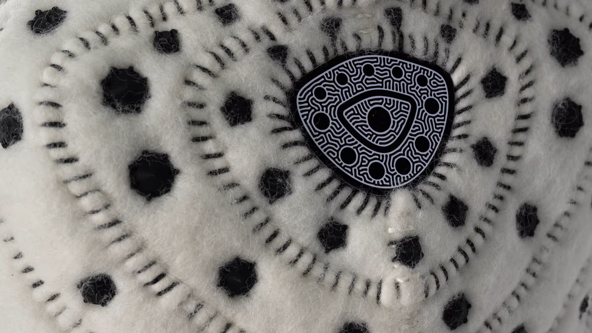 WeAR History, Dylan Mulder & Juliette Thomson, New Zealand